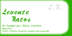 levente matos business card
